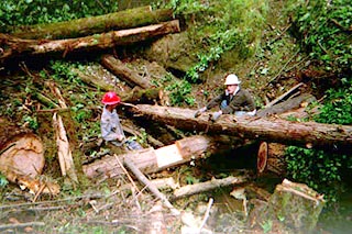 X-log weirs