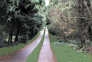 Country road