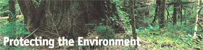 Protecting the Environment '99
