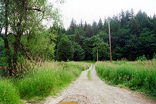 Preston Arboretum site