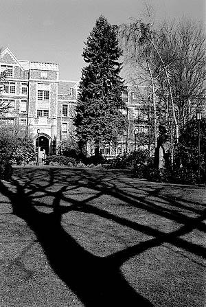 Grieg Grove