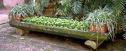 Furniture planter