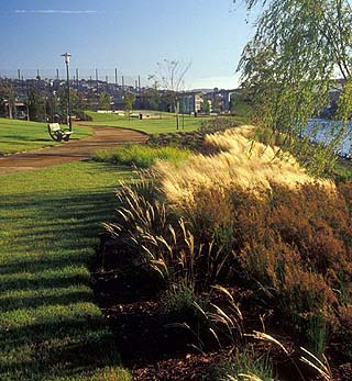 Mission Creek Park 