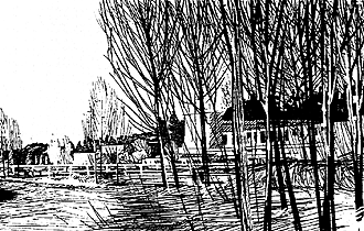 University of Washington Bothell Branch Campus
