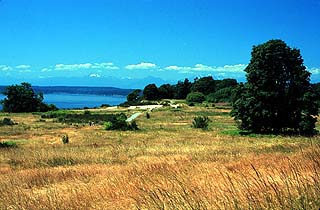 Discovery Park’s south meadow