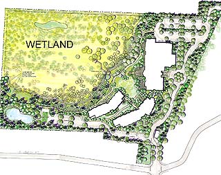 wetland plan 