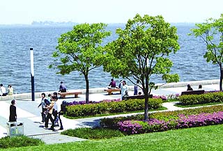 Jinji Lake Waterfront 